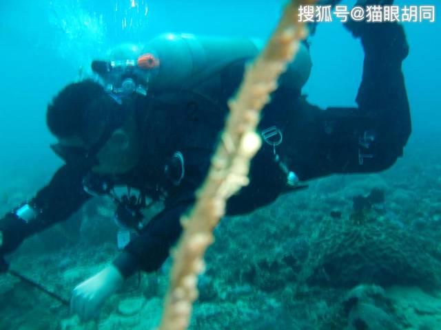 逃离黑砖房间